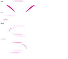 Load image into Gallery viewer, Southsea Camper Van & Motorhome Decal Sticker Graphics Kit